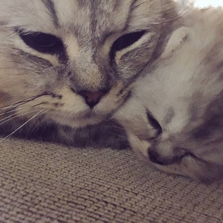 82c8b81d 9525 4574 a889 3cba0106b435