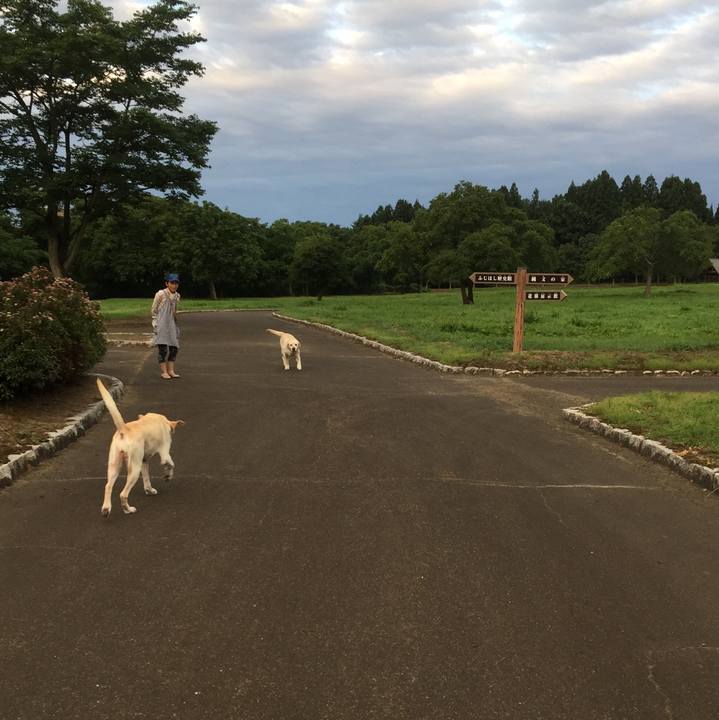 82c8b995 b87b 424d ab23 58b002ad9ea9