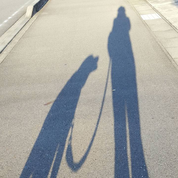 82c9d331 6113 4a64 897d d4a51a5913b8