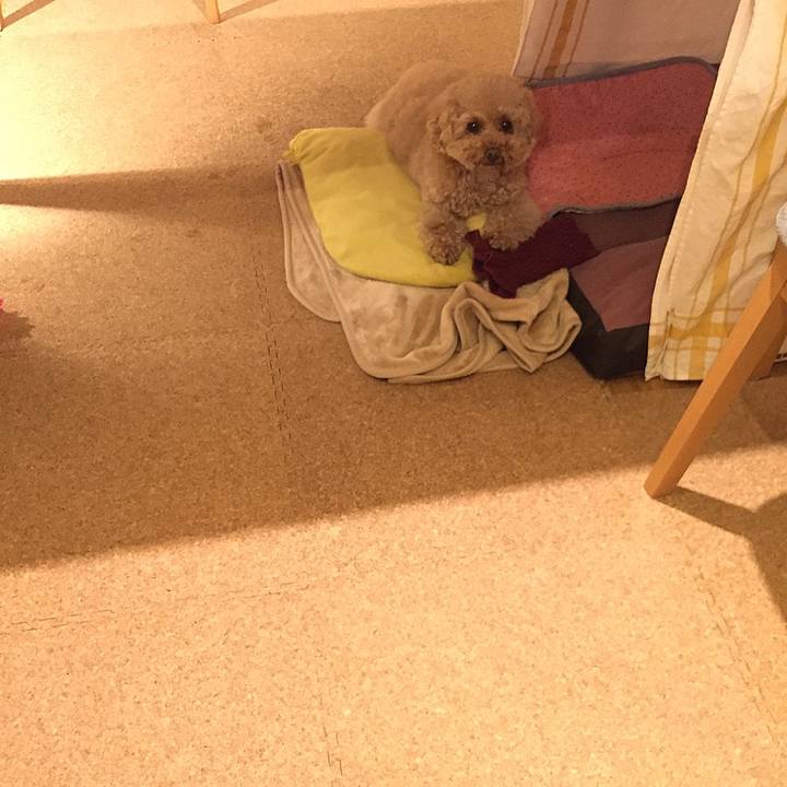 82c9f9dd 0a91 43dc 9535 bfddfb906033