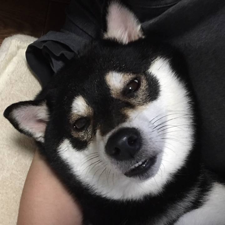 82cabec8 5240 44d5 b9aa af10db182c2c