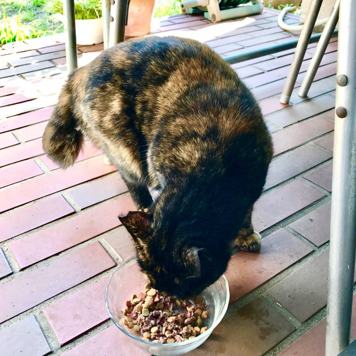 82cb1aa1 06bb 4a58 974a 27fed814e079