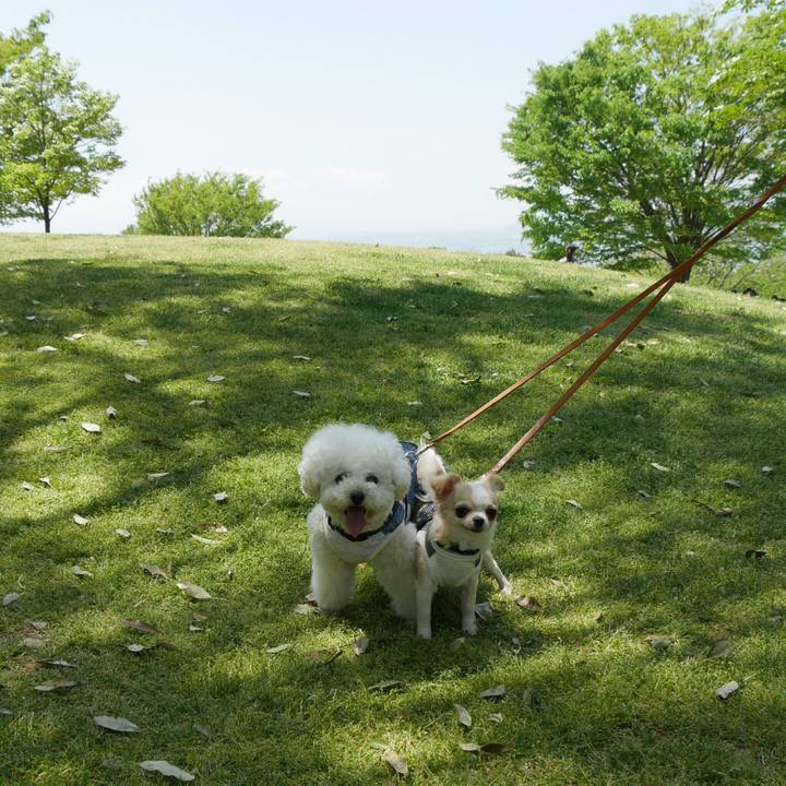 82cb509e 3543 434f b51d 86745175d0dd