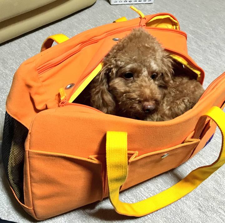 82cb9c7b d334 46f0 89b5 e223df5eb25c