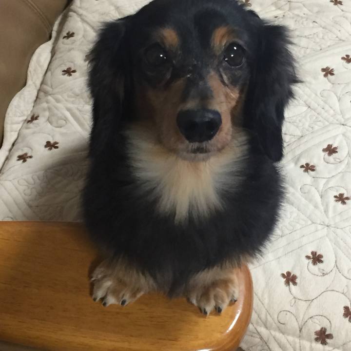 82cc4a51 e44a 46d1 9542 6bfd77331420