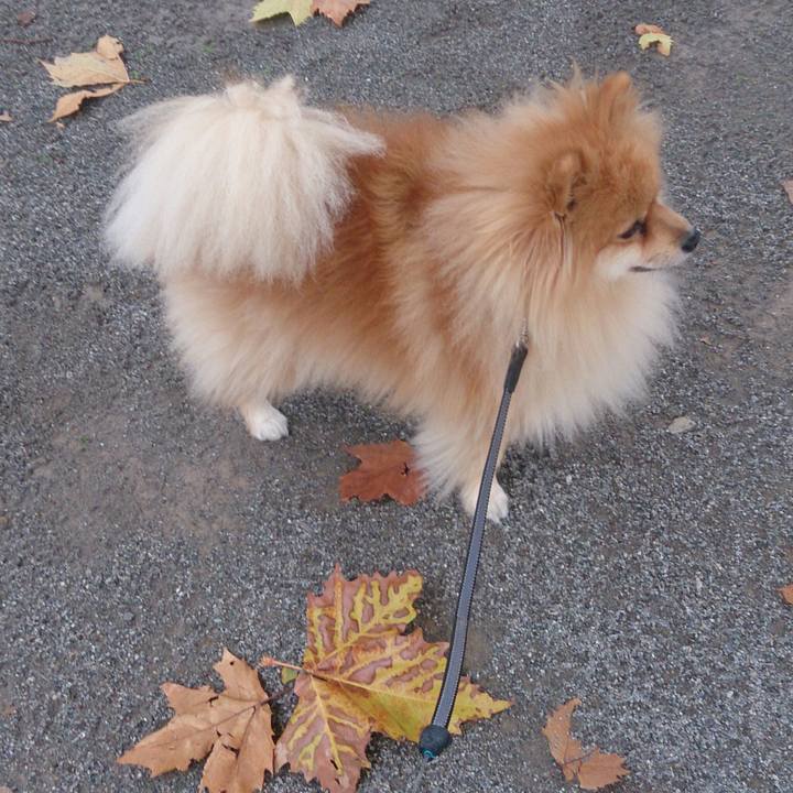 82cc4c12 b3d7 440c 8578 56031810628a