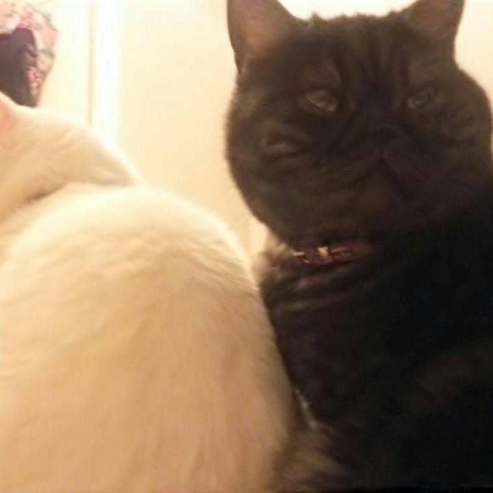 82cc6791 e7fb 4614 ab91 6c60e2a29dff