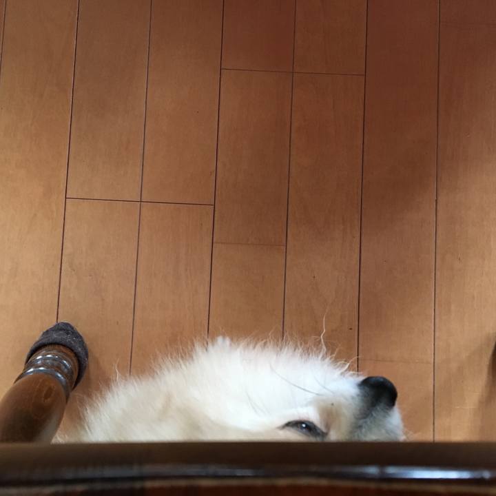 82cc7687 3b73 43f5 a868 ad933a858fac