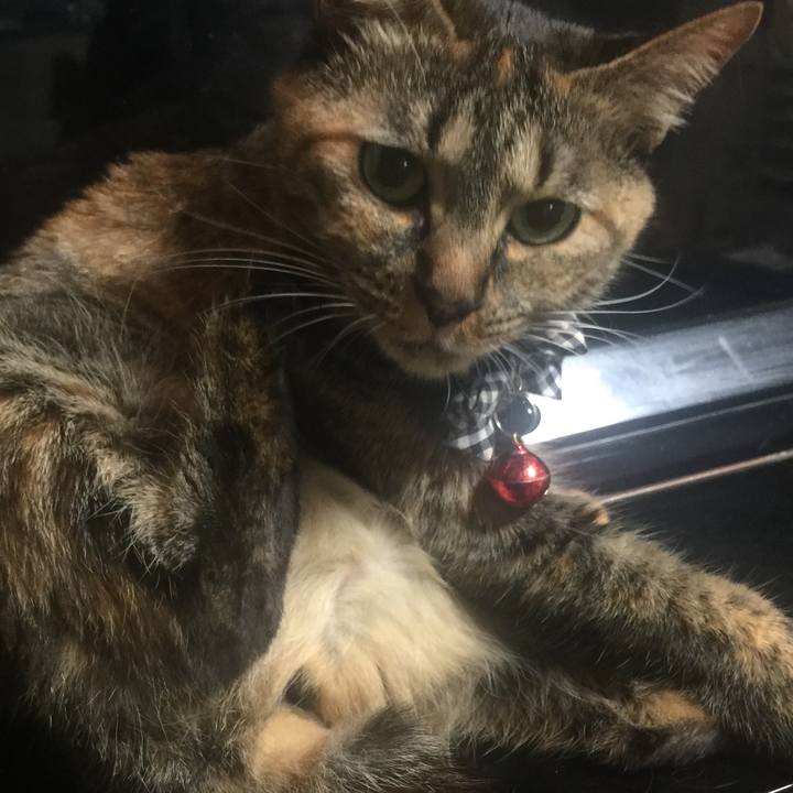 82cd5a82 bde5 431a 92b2 38d726e54e19