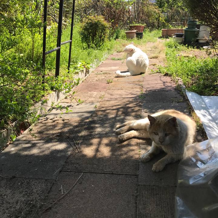 82cde23c 2e93 4581 9dbf 99824e5f9891