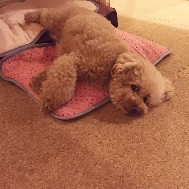 82cde8c4 eaac 463c 8b0b 33628721c903