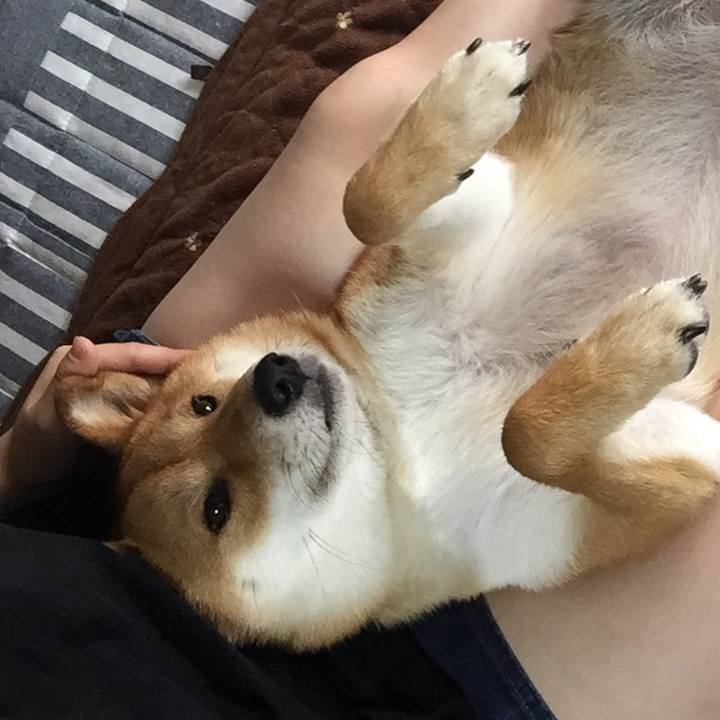 82ce5de6 2d1c 4259 b884 3ed3ffe0ce5d