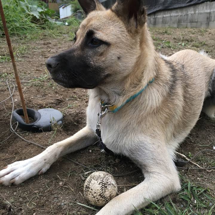 82cf0426 3393 4d65 b666 317e7d54a447