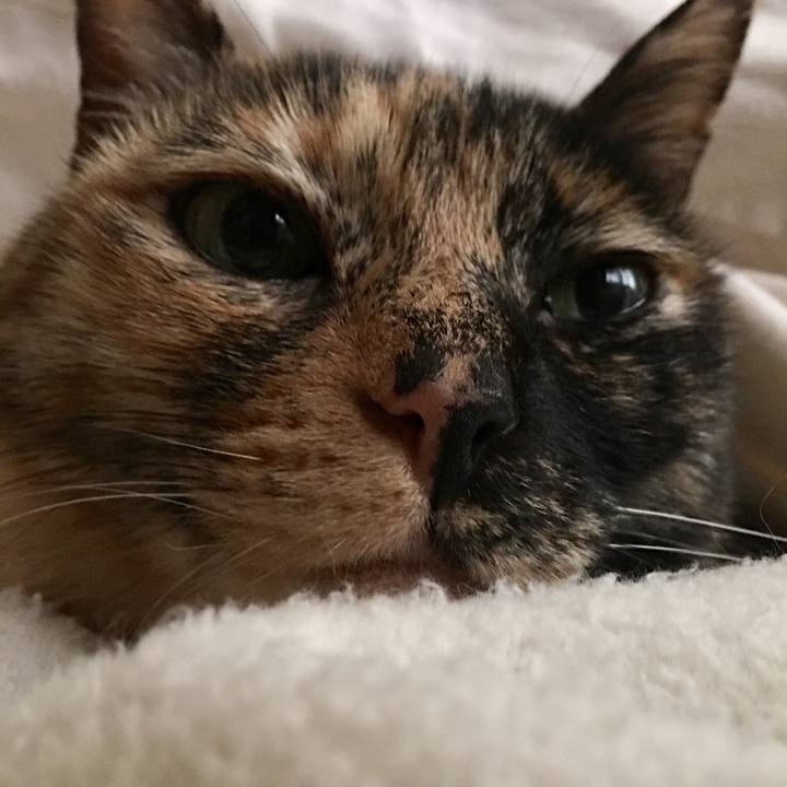 82cf20de f2a9 410a bb37 6af956972871