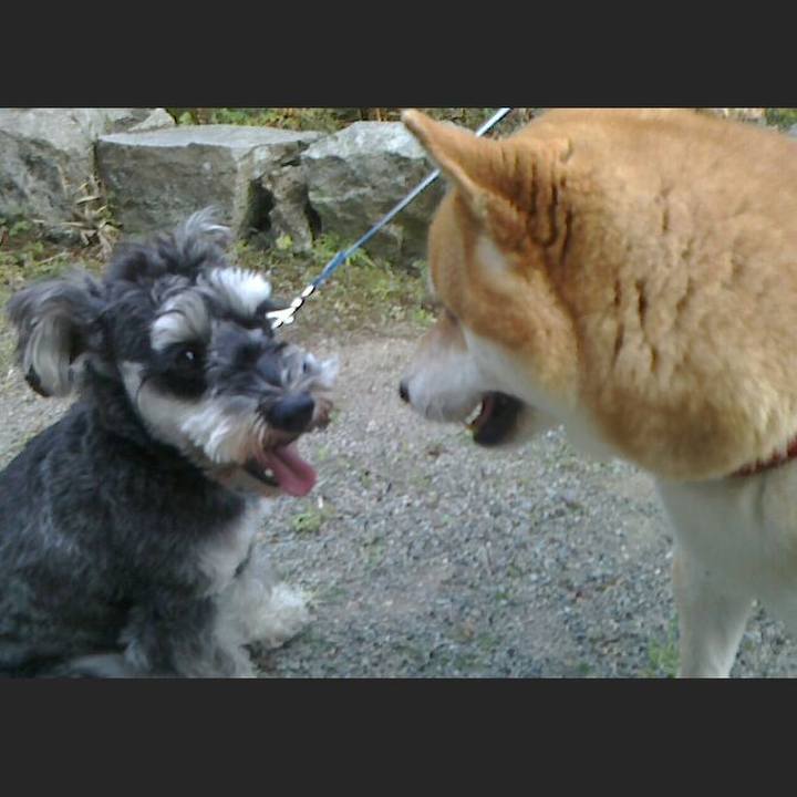 82cf7b71 5fa2 43e9 8791 cf12125108c1