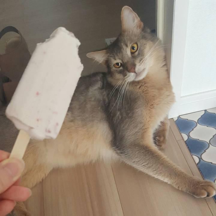 82cfb7a9 9682 401e af28 de78d143f9da