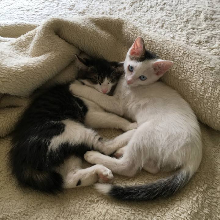 82d097c2 24de 4fdf 9c7c c6cd6ba14c12