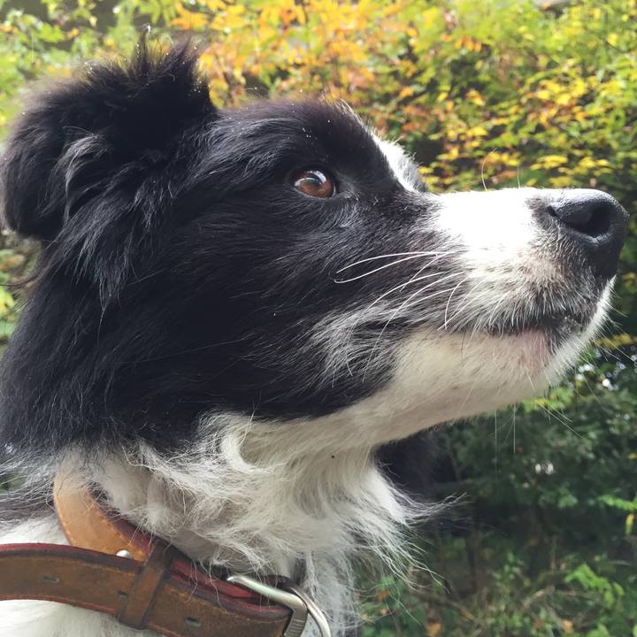 82d112c9 7fce 446d 8eeb 9125fed870d9