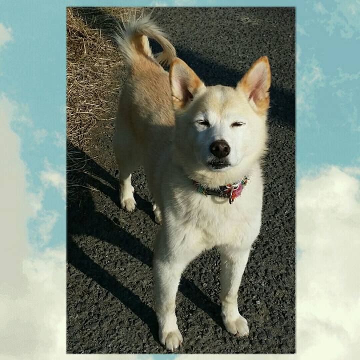 82d11cae aff7 4a42 9a3b 2c9431d49847