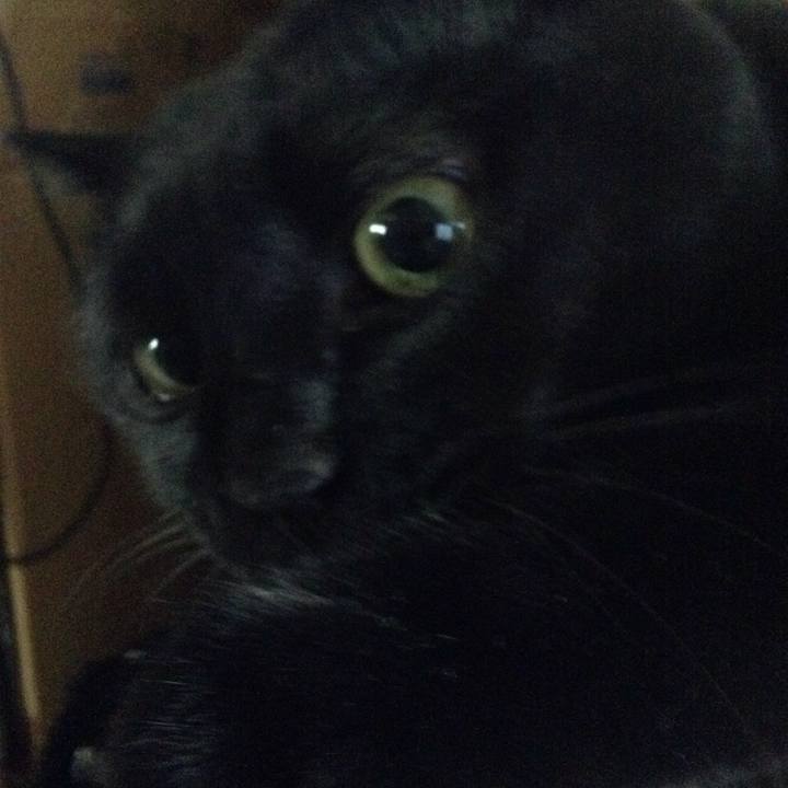 82d1cd20 92be 41ba 950e dc993e013cf2