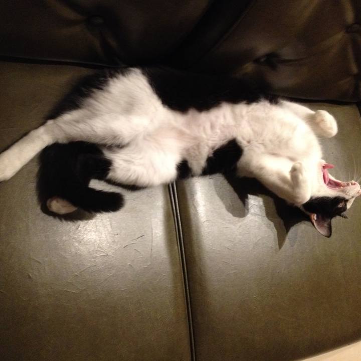 82d327b5 eb81 4e23 a6fc 4f8578785e14