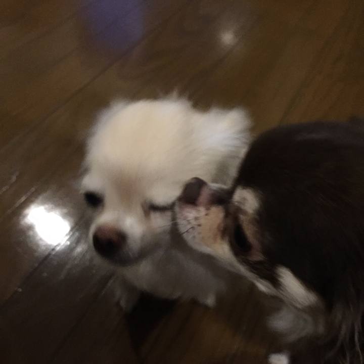 82d3edb9 9f4e 4639 9c1b 1fdf2c3e8479