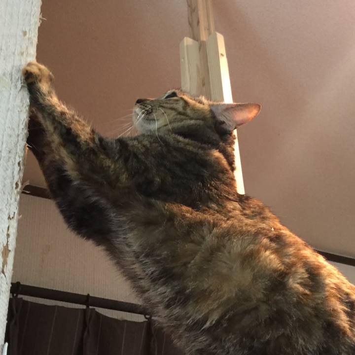 82d4049e f38e 4f7b 862a 72ede56acade