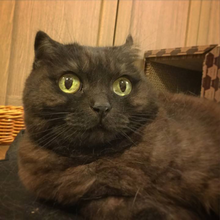 82d40527 c192 4f2a 884e 1faf1926f2f7