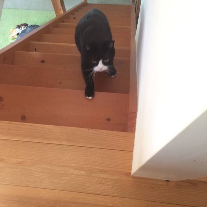 82d4ef3c 4174 498c ac75 3e89528d97ff