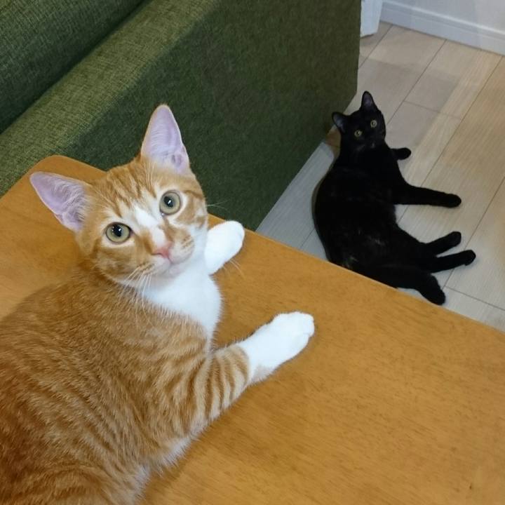 82d54efd 725c 48f9 b614 cac40d4e98df