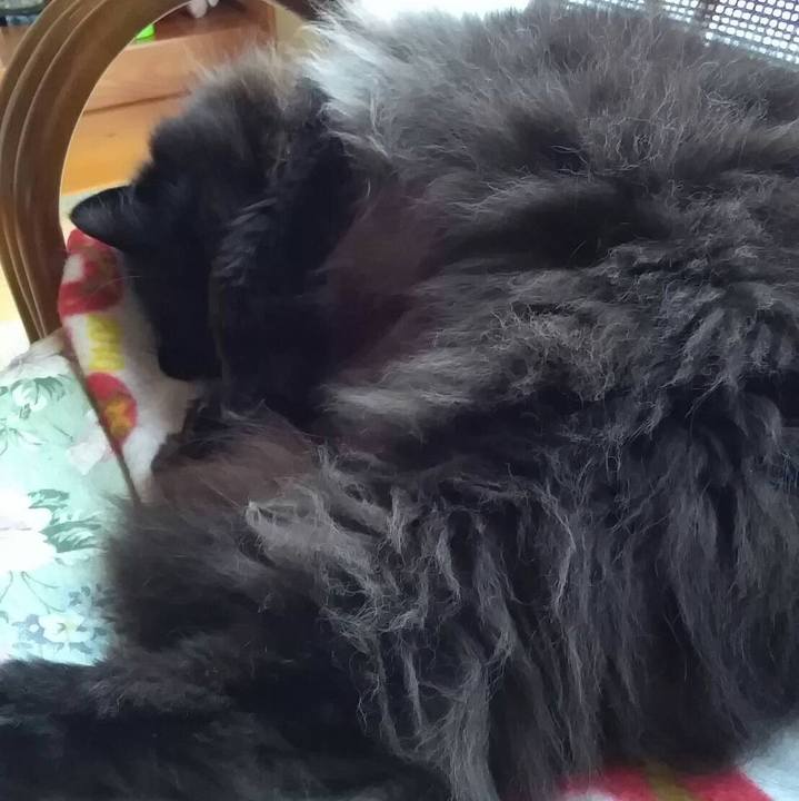 82d5941a 96e2 48a7 9d71 aca27c415e8a