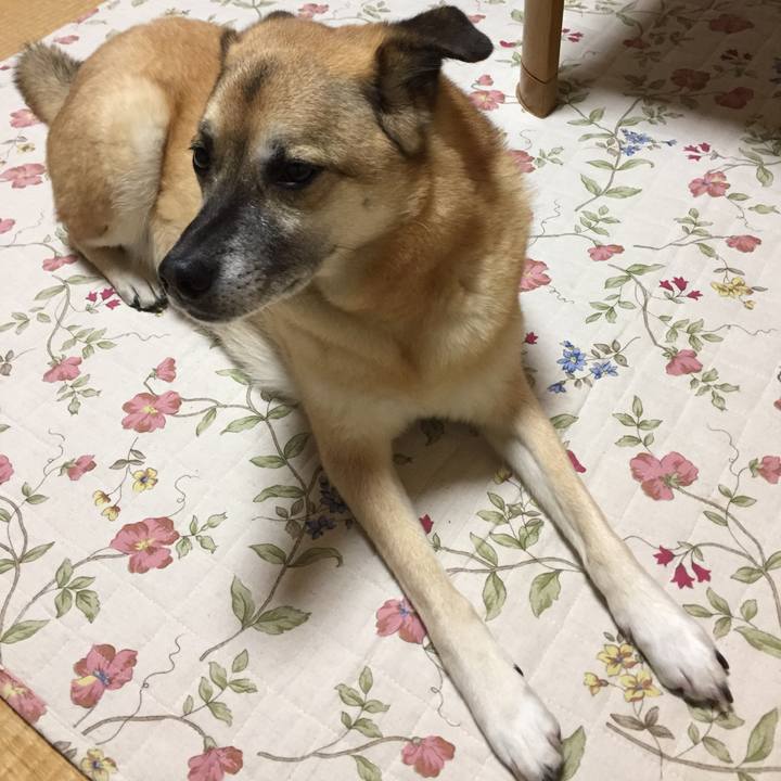 82d67116 be4f 4d04 bc26 b188dca02ccd