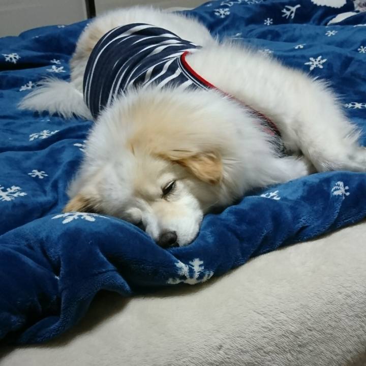 82d6a44f 104a 479b af78 4a095acd08b9