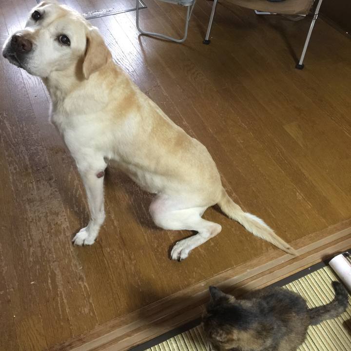 82d6d160 9253 4173 8ae3 035807998a89