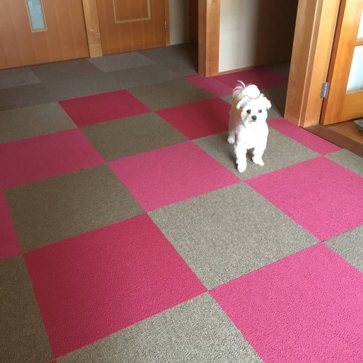 82d6f3b4 49c2 4a7c 9029 92becdb823ad