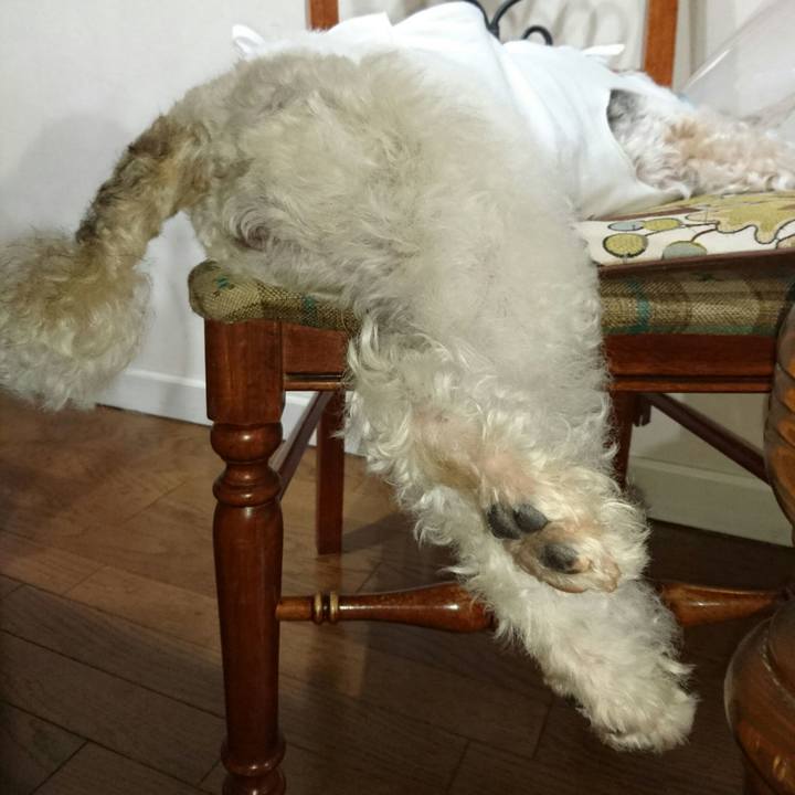 82d87359 ac39 41fa 9a54 47c48527b109