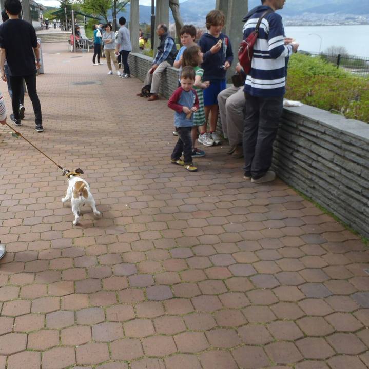 82d8d140 98fb 4173 af0d d64ad1d2adb1