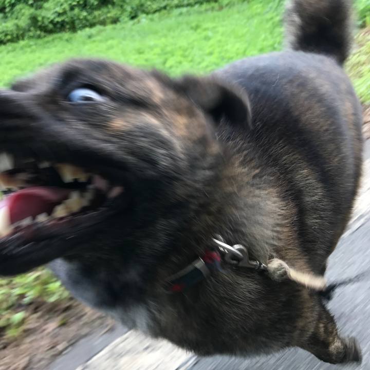 82d98574 13e7 456b 8235 8687a2921bbe