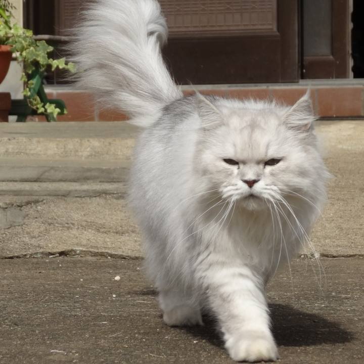 82d9982c 2a9a 4af2 9e90 173296e91f05