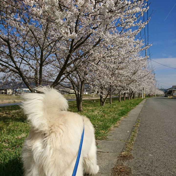 82d9dbb4 de1e 4ab7 8cb9 49deccf79fd9