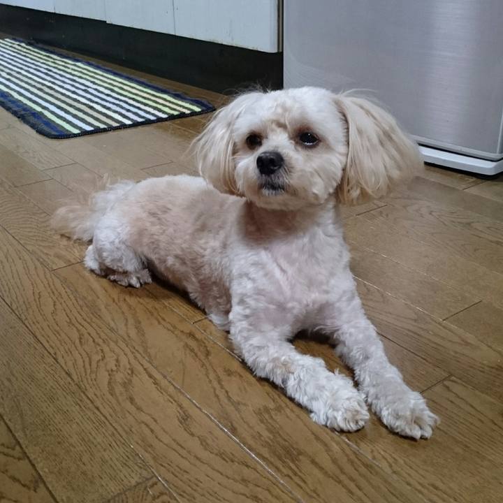 82d9f102 0a25 4ae0 8942 464211aa6847