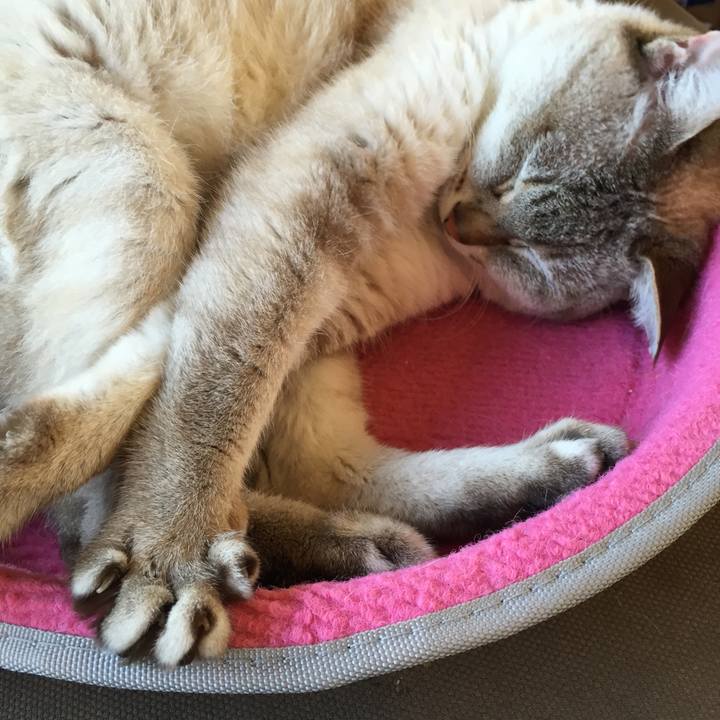 82da290f c0f3 4c77 a97f de4892e5c6a6