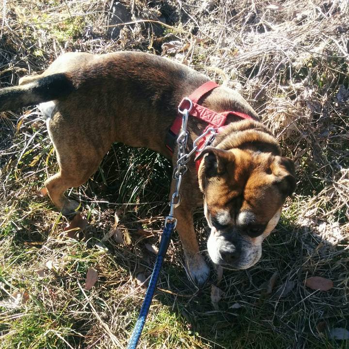 82da4191 f8ac 4d74 bd55 47afc87f3c2c