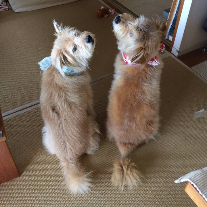 82da563f 2be0 4e52 814e ed7e1b86bd2b