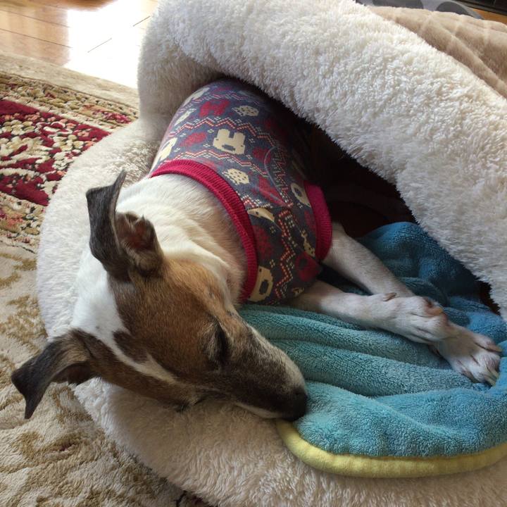 82db1b94 9d40 4905 b799 b89bbaac1a4b