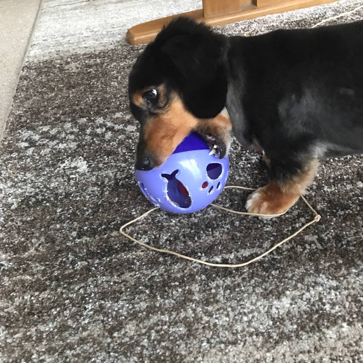 82db5ece 2971 4cea 8d13 1e3c6de7dbd6