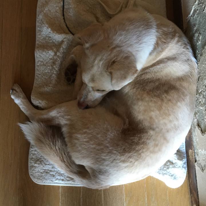 82db85d9 971c 4b84 a395 6ed2855d7f99