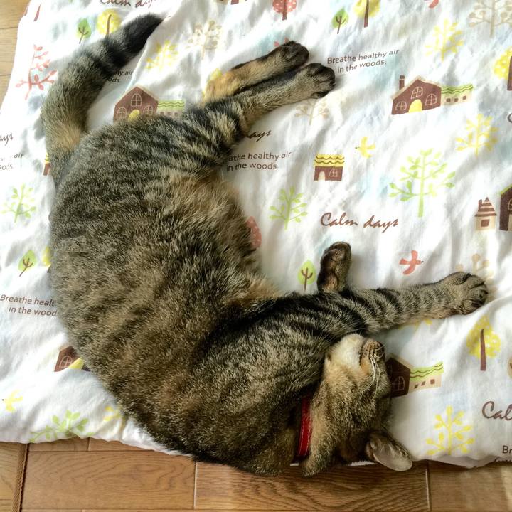 82dbd6be 7ad0 44f9 8639 281ad6aae1ad