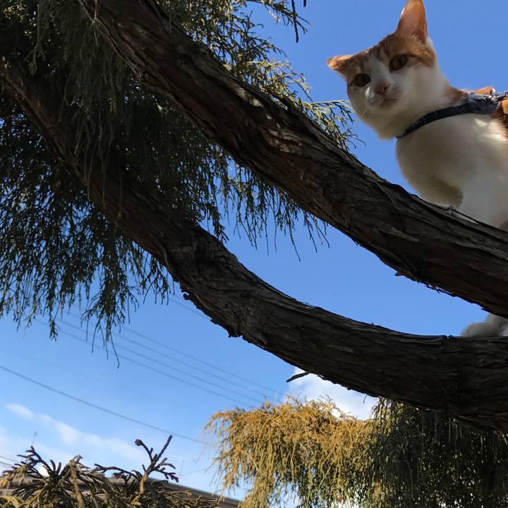 82dbd705 ed48 4c19 900f 5523ce93c288