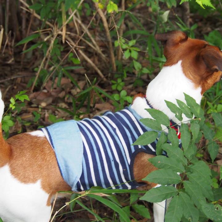 82dc1a8e b665 4fbf 8a1a 8bec35bd6b68